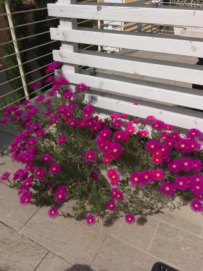 Antonella Gardalake 2 Ντεζεντσάνο ντελ Γκάρντα Εξωτερικό φωτογραφία
